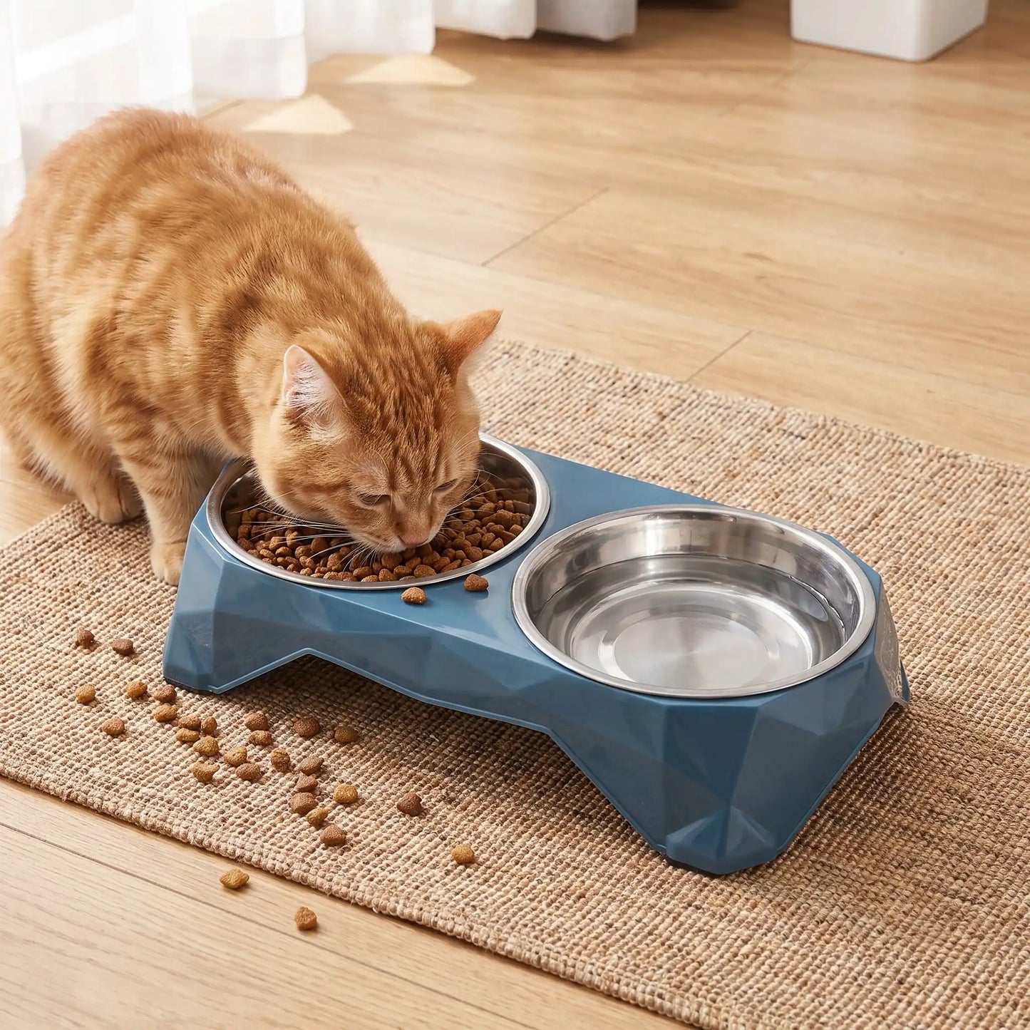 Gamelles pour chats bleues chat mangeant vigoureusement croquettes
