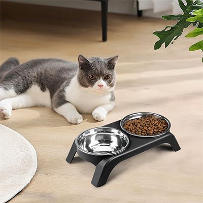 Gamelle chat surélevée près d'un chat allongé dans salon