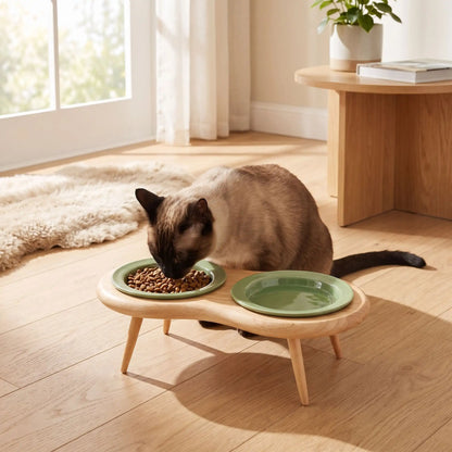 Double gamelle chat surélevée verte chat siamois mange croquettes