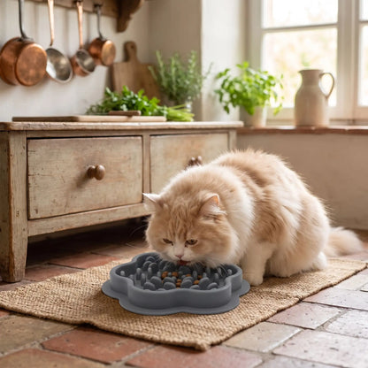 Gamelle anti-glouton chat grise chat persan mange croquettes
