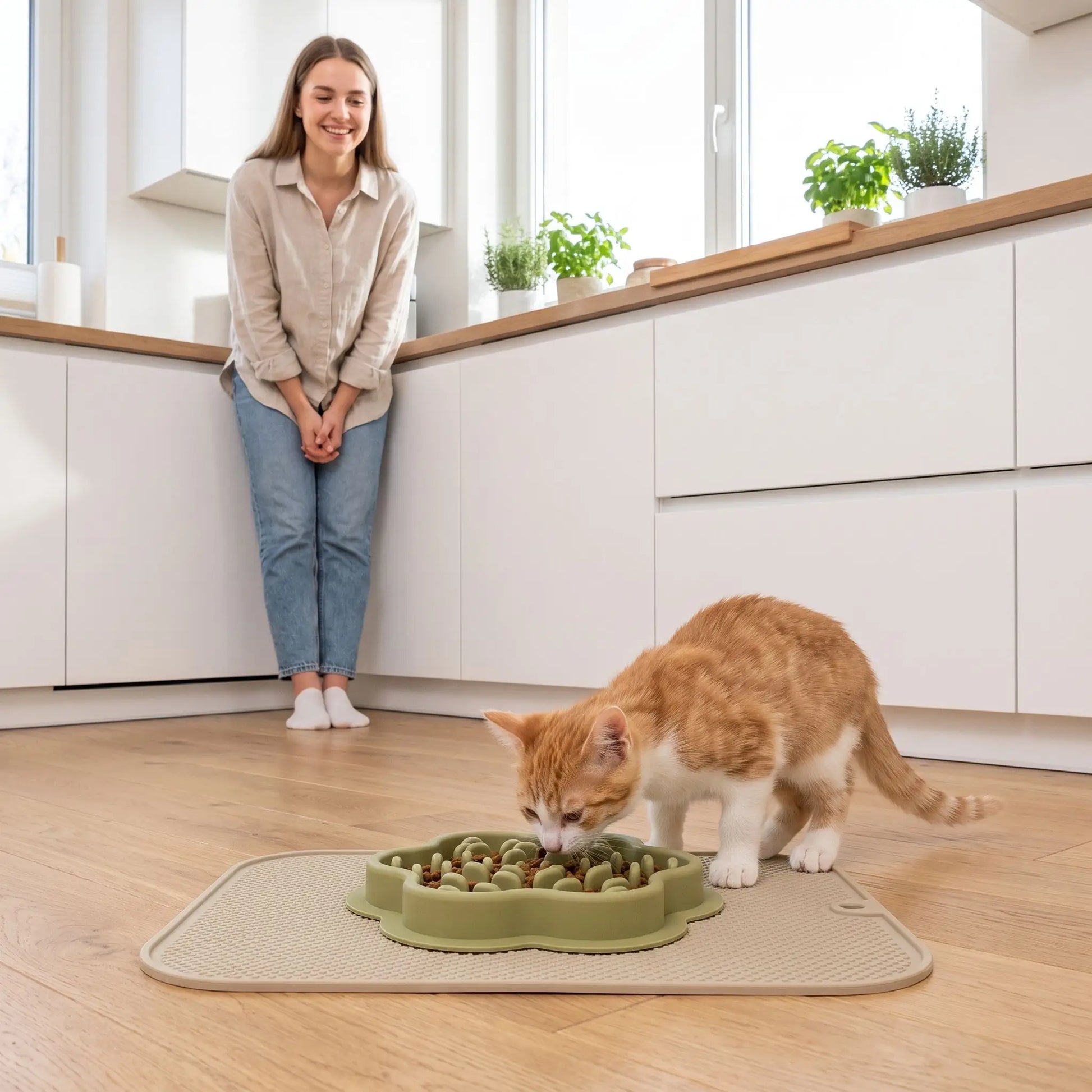 Gamelle anti-glouton chat verte chaton mange dans cuisine