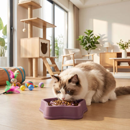 Gamelle anti glouton chat violette chat mange croquettes