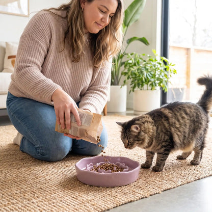 Gamelle anti-glouton chat violette femme sert croquettes au chat