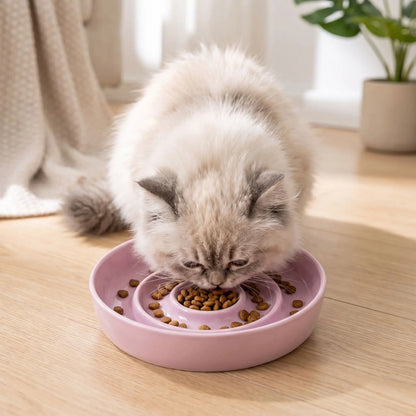 Gamelle anti glouton chaton céramique rose chaton persan mange croquettes