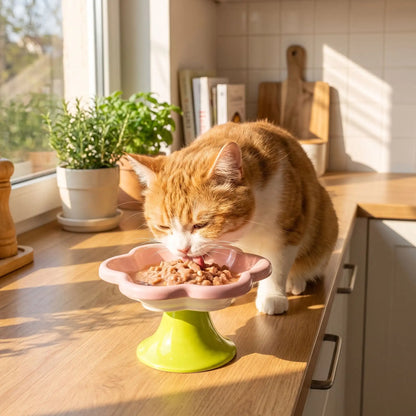 Gamelle ceramique pour chat rose chat mange pâtée