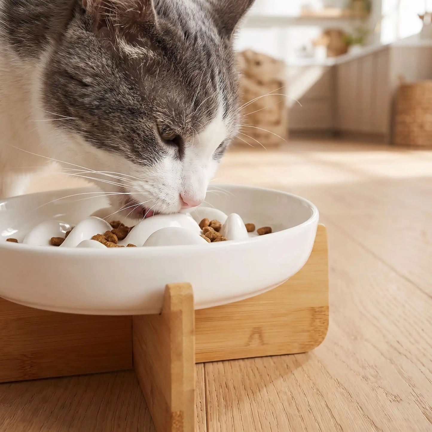 Gamelle chat anti glouton surélevée chat mange