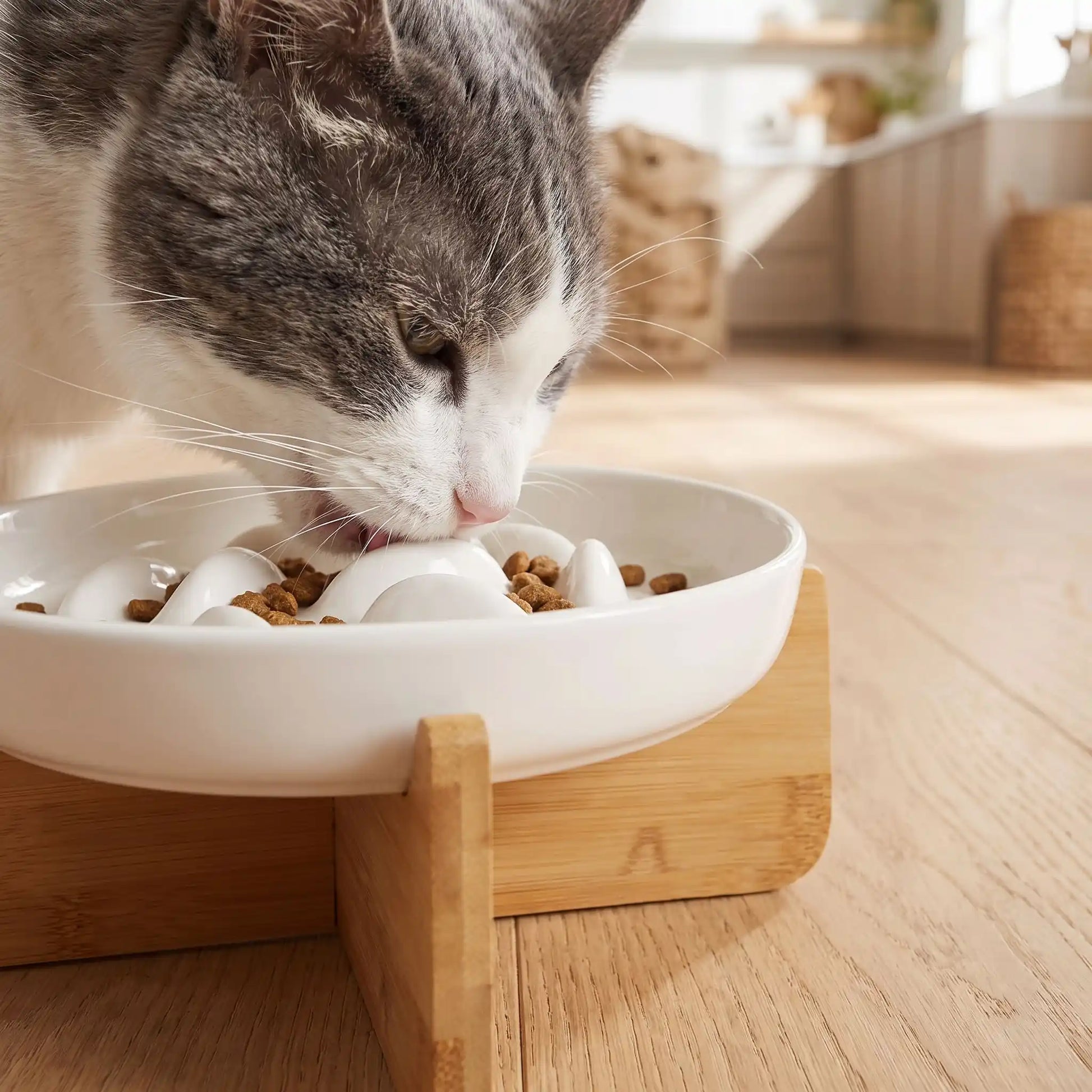 Gamelle chat anti glouton surélevée chat mange