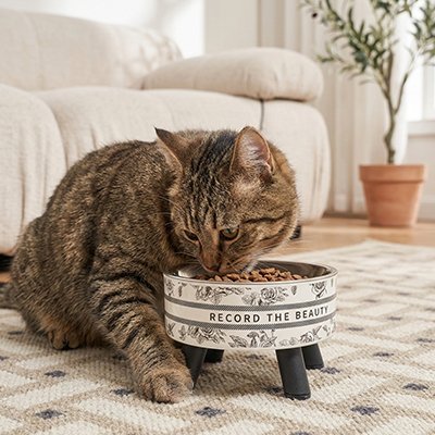 Gamelle chat surélevée motif floral chat mange croquettes