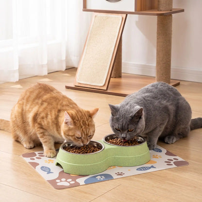 Gamelle chat verte deux chats mangent croquettes