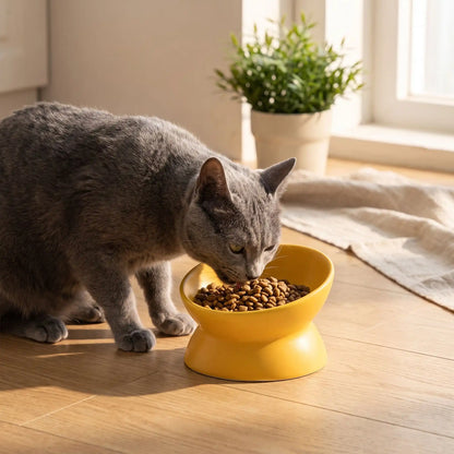 Gamelle en ceramique pour chat jaune avec chat gris mangeant