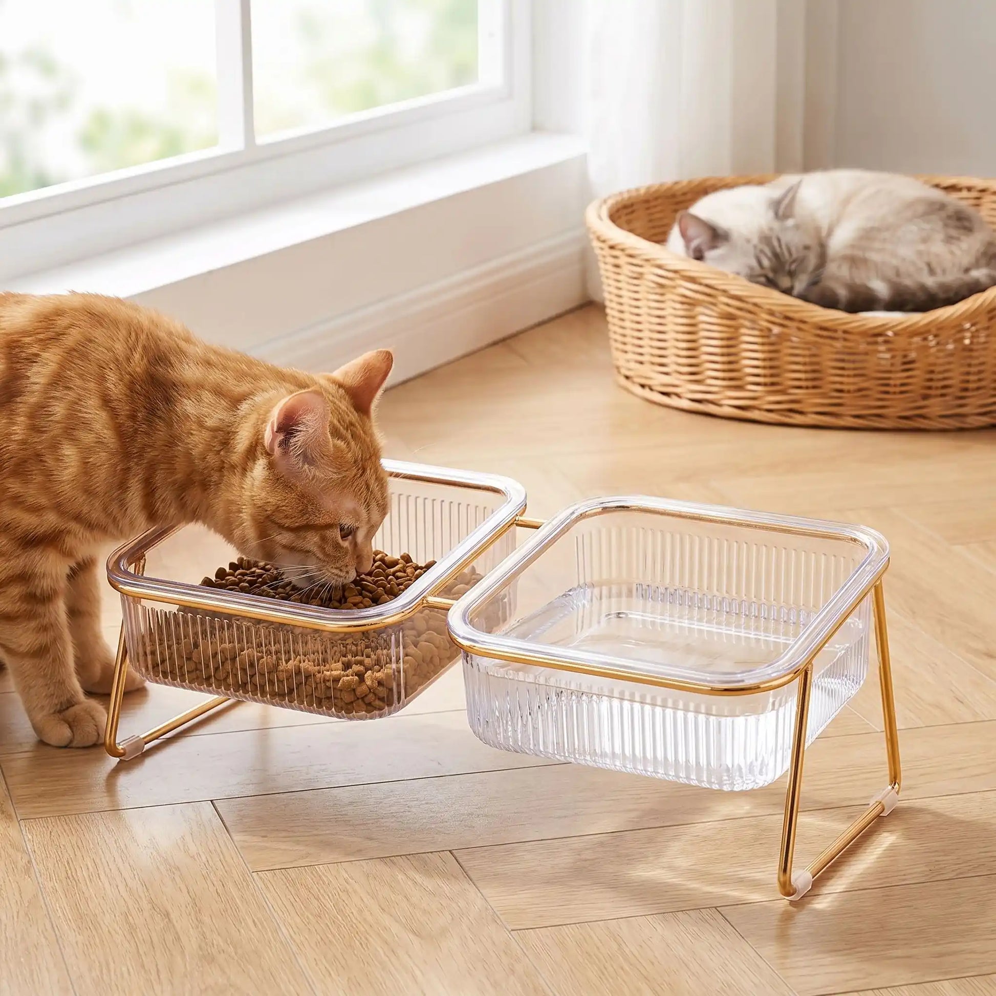 Gamelle surélevée chat double bol chat mange croquettes