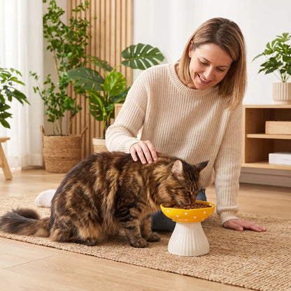 Gamelle surélevée chat jaune avec Maine coon mange dame caressant
