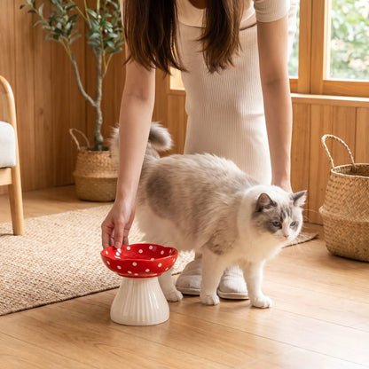 Gamelle surélevée chat rouge chat ragdoll tourne autour