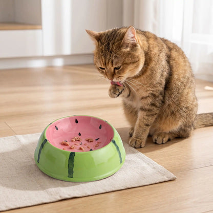Gamelles chaton motif pastèque chat finissant son repas