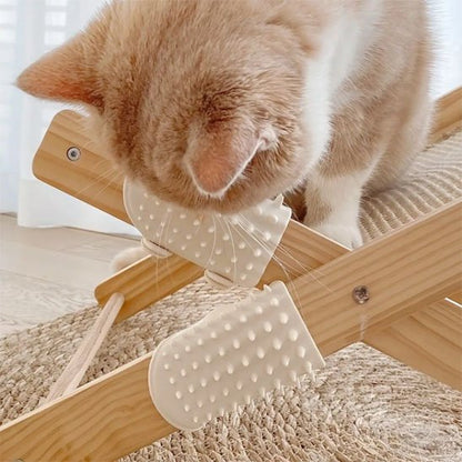 Brosse poil chat blanche chat se frotte museau