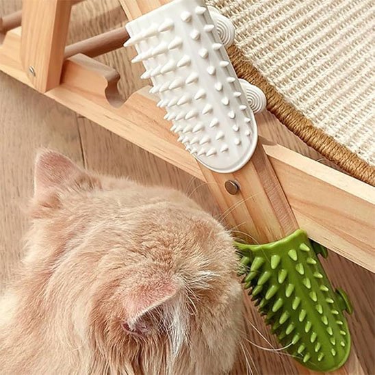 Brosse poil chat verte blanche chat se frotte