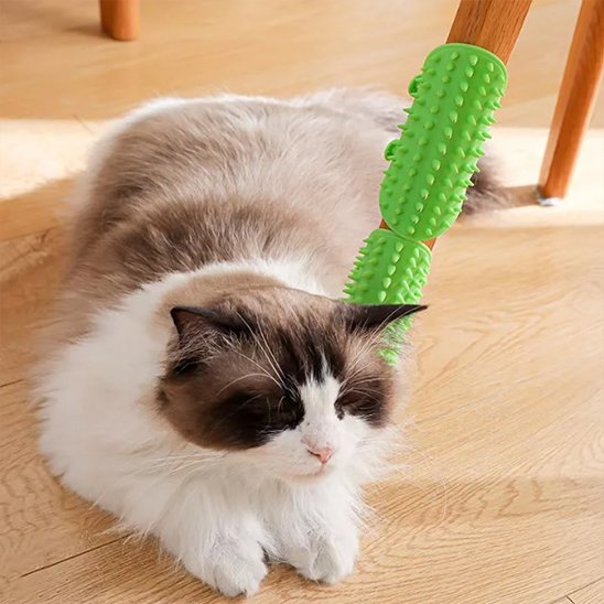 Brosse poil chat verte enroulée pied chaise chat allongé