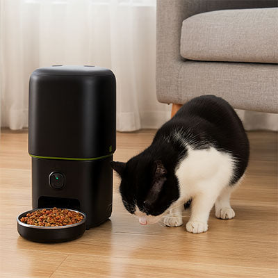chat a proximite de distributeur de croquettes automatique noir