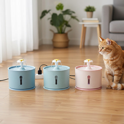 chat avec fontaine a eau chat bleue verte rose