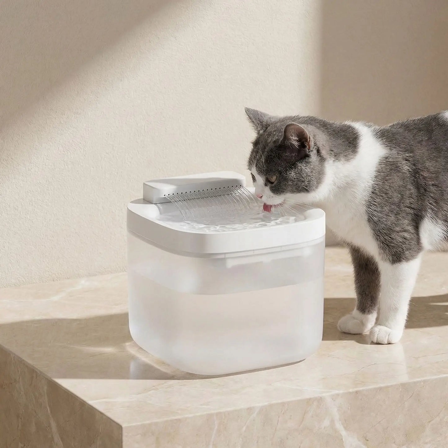 chat boit dans chat fontaine a eau chats blanche