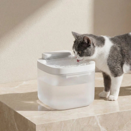 chat boit dans chat fontaine a eau chats blanche