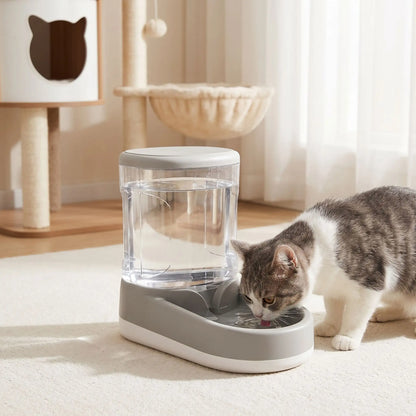 chat boit dans distributeur eau chat gris