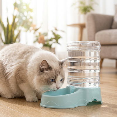chat boit dans distributeur eau pour chat bleu