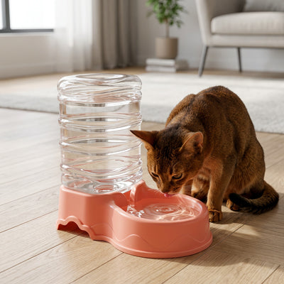 chat boit dans distributeur eau pour chat rose