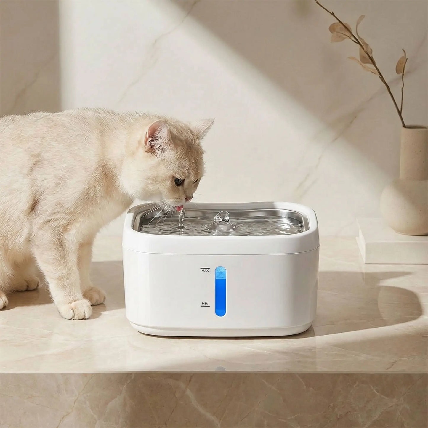 chat boit dans fontaine a chat