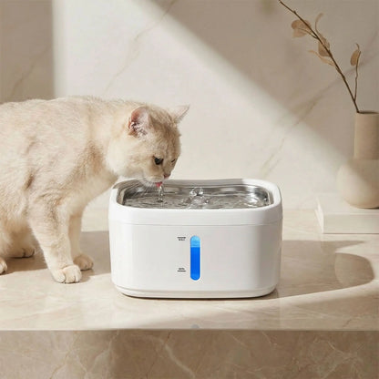 chat boit dans fontaine a chat