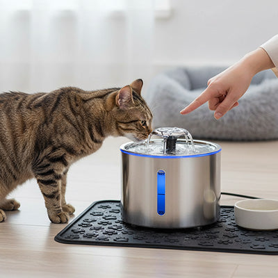 chat boit dans fontaine a eau chat en acier inoxydable