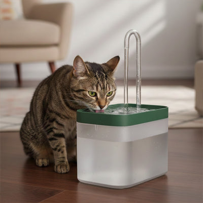 chat boit dans fontaine a eau chat vert fonce