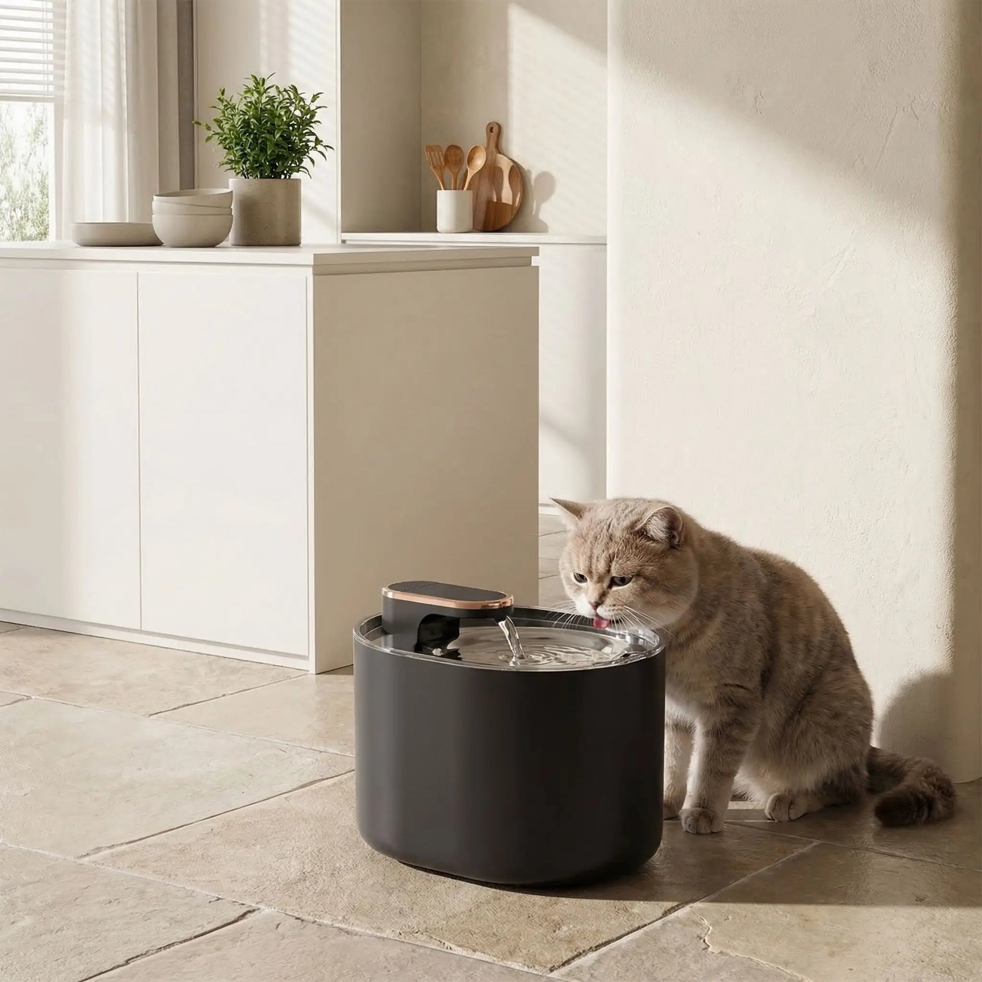 chat boit dans fontaine a eau pour chat noire