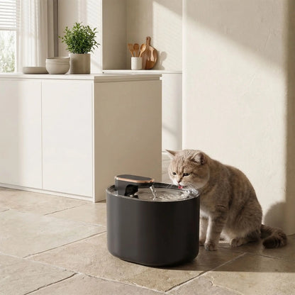 chat boit dans fontaine a eau pour chat noire