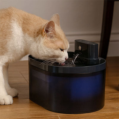 chat boit dans fontaine a eau pour chat sans fil