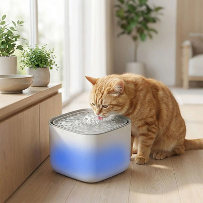 chat boit dans fontaine eau chat a led blanche