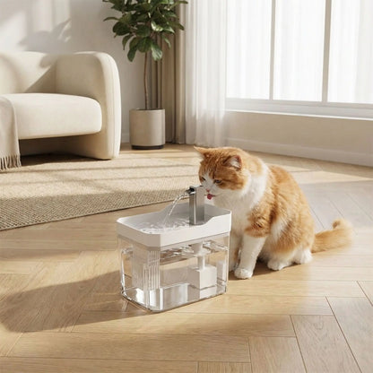 Fontaine eau chat | AquaVibe™