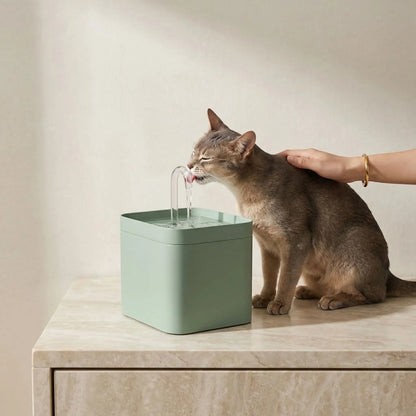 chat boit dans fontaine eau pour chat