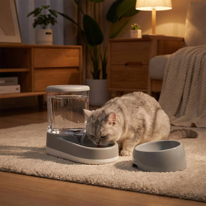 chat buvant dans distributeur eau chat gris