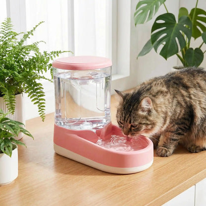 chat buvant dans distributeur eau chat rose