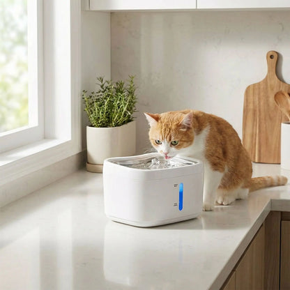 chat buvant dans fontaine chat dans cuisine