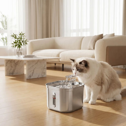 chat buvant dans fontaine a eau chat silencieuse dans salon