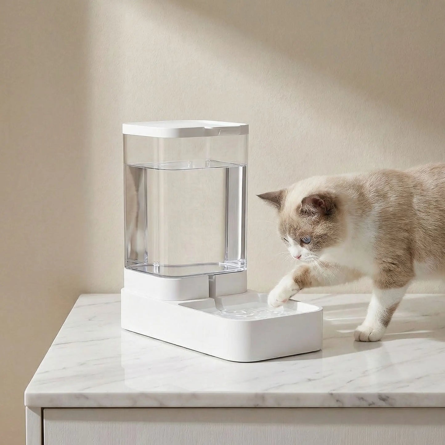 chat curieux face au distributeur à eau pour chat