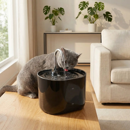 chat gris buvant dans fontaine a eau chat noire