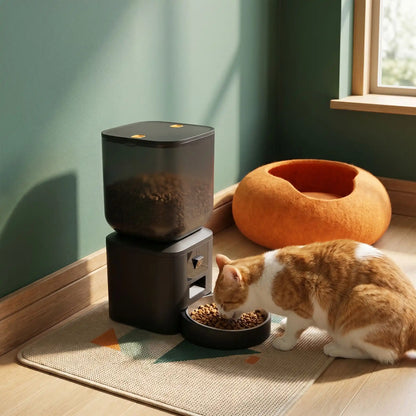 chat mange dans distributeur croquette chat automatique noir