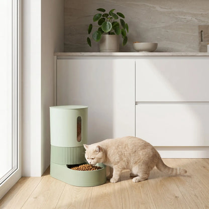 chat mange dans distributeur de croquettes pour chat vert