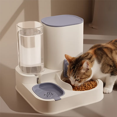 chat mangeant dans distributeur croquettes eau chat bleu