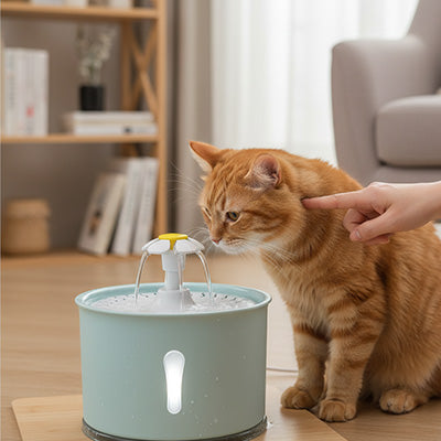 chat regarde fontaine a eau chat verte