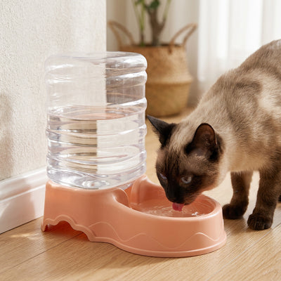 chat siamois buvant dans distributeur eau pour chat rose