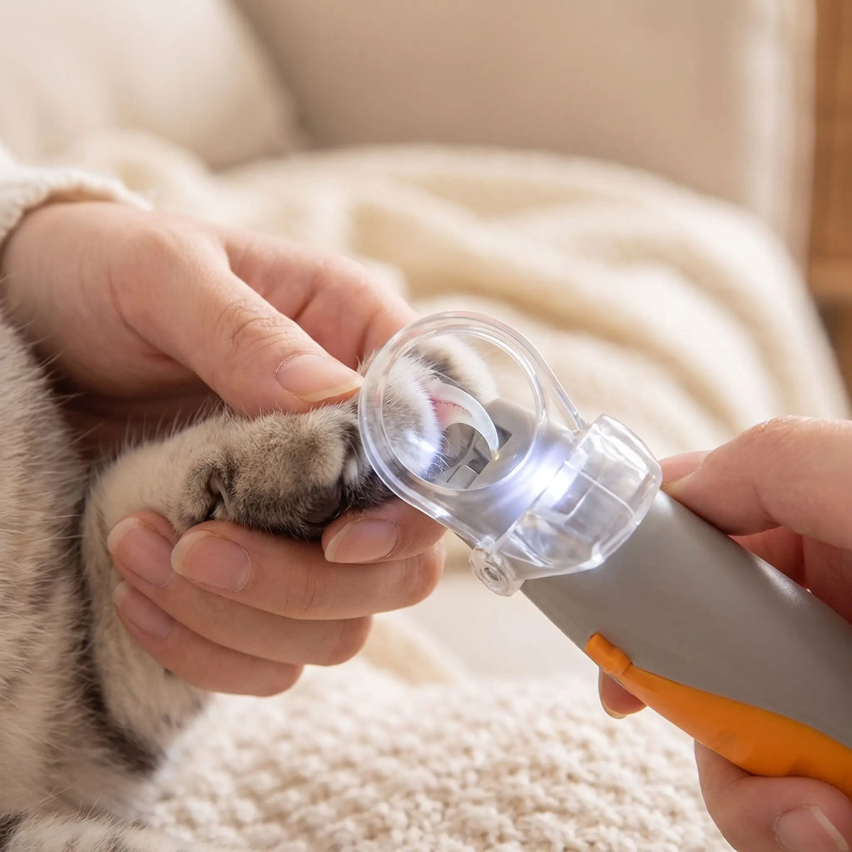 coupe-griffes pour chats loupe grossissant griffe éclairée LED